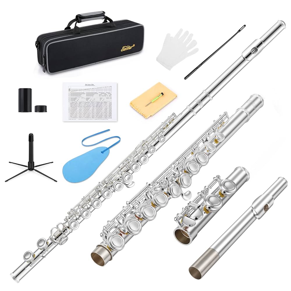 Amazon.com: Eastar Upgraded Closed Hole 16 Keys C Flute for